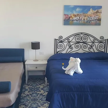 Il Leone Di Mare 3*
