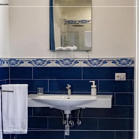 Il Leone Di Mare Procida