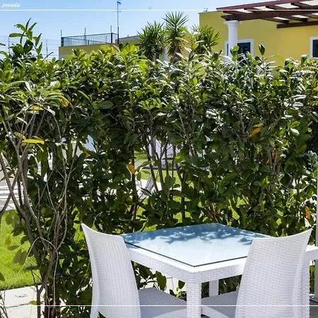 Il Leone Di Mare 3*