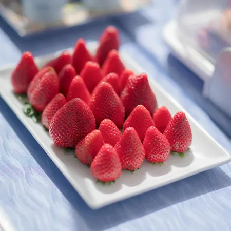 Il Leone Di Mare Procida