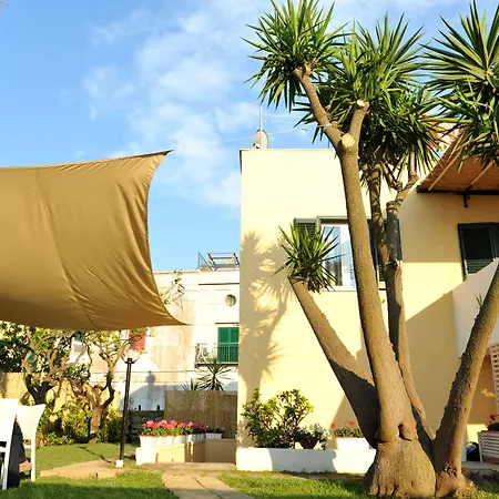 Il Leone Di Mare Hotel