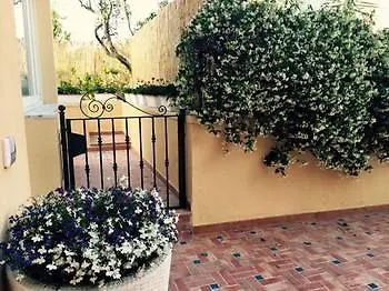 Il Leone Di Mare Procida